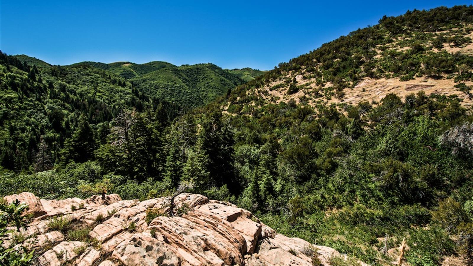 Emigration Canyon cityhomeCOLLECTIVE